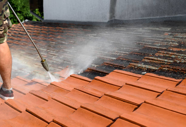 Best Residential Pressure Washing Services  in USA